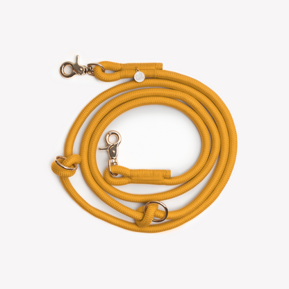 Yellow braided dog leash coiled with clip and O ring visible