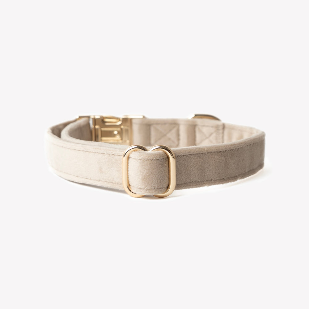soft velvet dog collar in sand color

