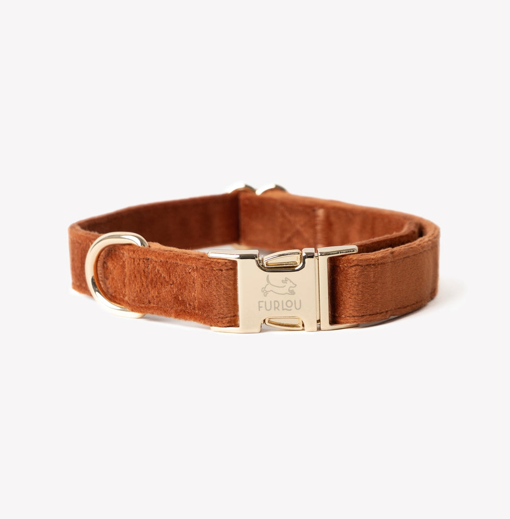 FURLOU clay velvet dog collar with gold buckle

