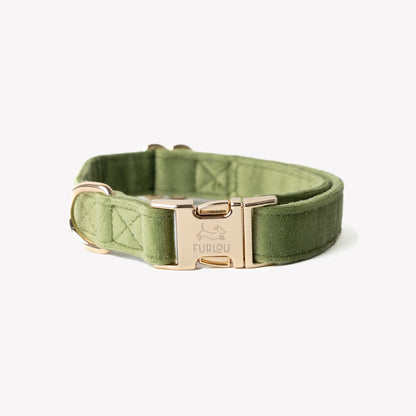 FURLOU green velvet dog collar with gold buckle

