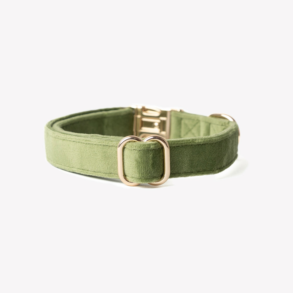 luxury green dog collar soft velvet

