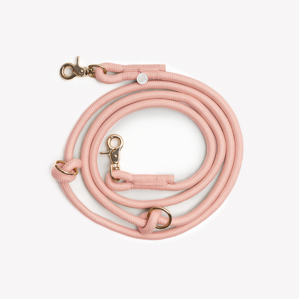 adjustable pink dog leash with gold clip

