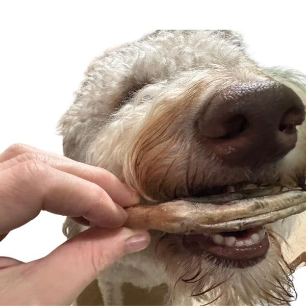 Freeze Dried Duck Feet for Dogs, Natural Joint Support, 10 Count - Premium Quality Made in USA