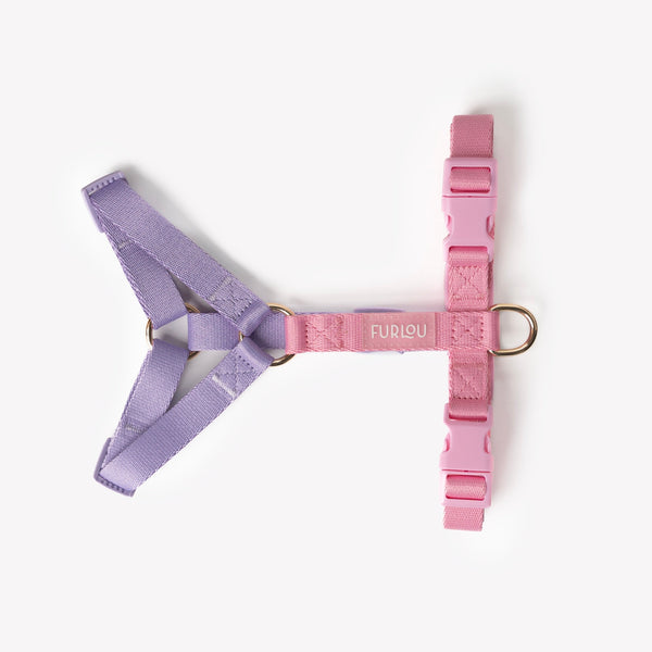 Side view of adjustable dog harness showing strap and buckle details

