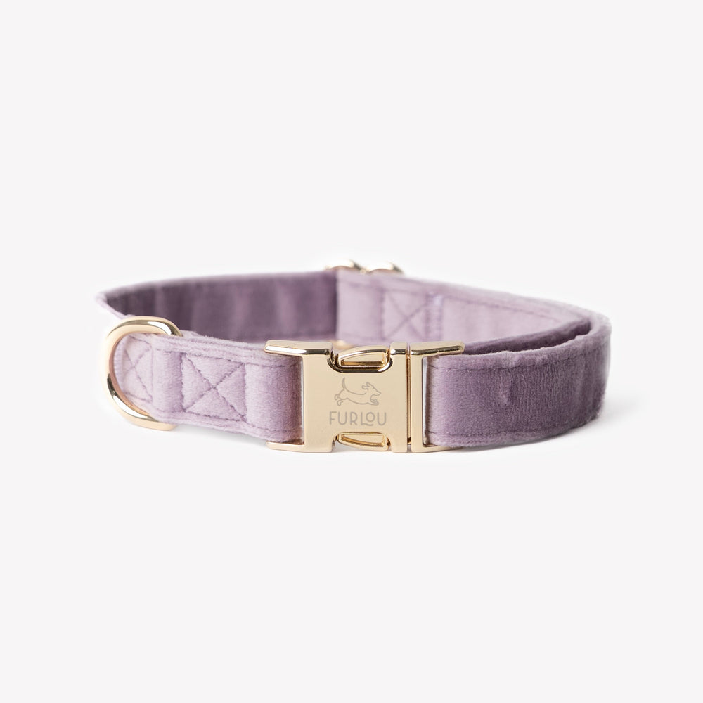 FURLOU lilac velvet dog collar with gold buckle

