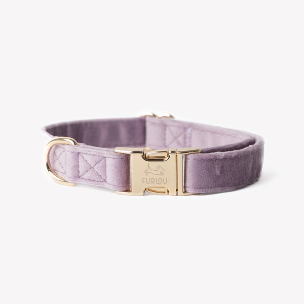 FURLOU lilac velvet dog collar with gold buckle

