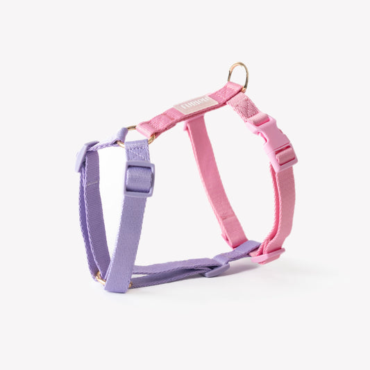 FURLOU pastel lavender and pink dog harness with gold hardware


