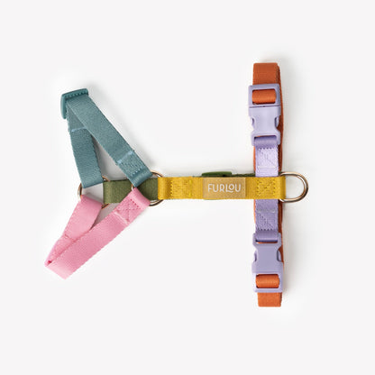 Adjustable dog harness in rainbow pattern on white background