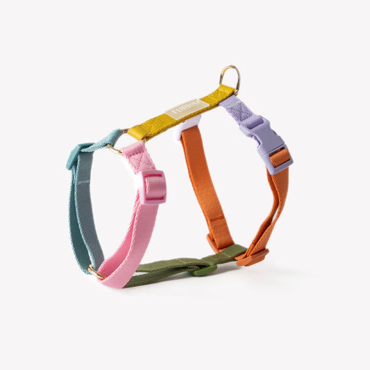 FURLOU Rainbow Dog Harness front view with gold hardware