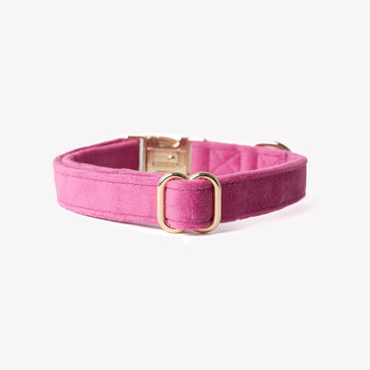 bold magenta velvet collar for dogs

