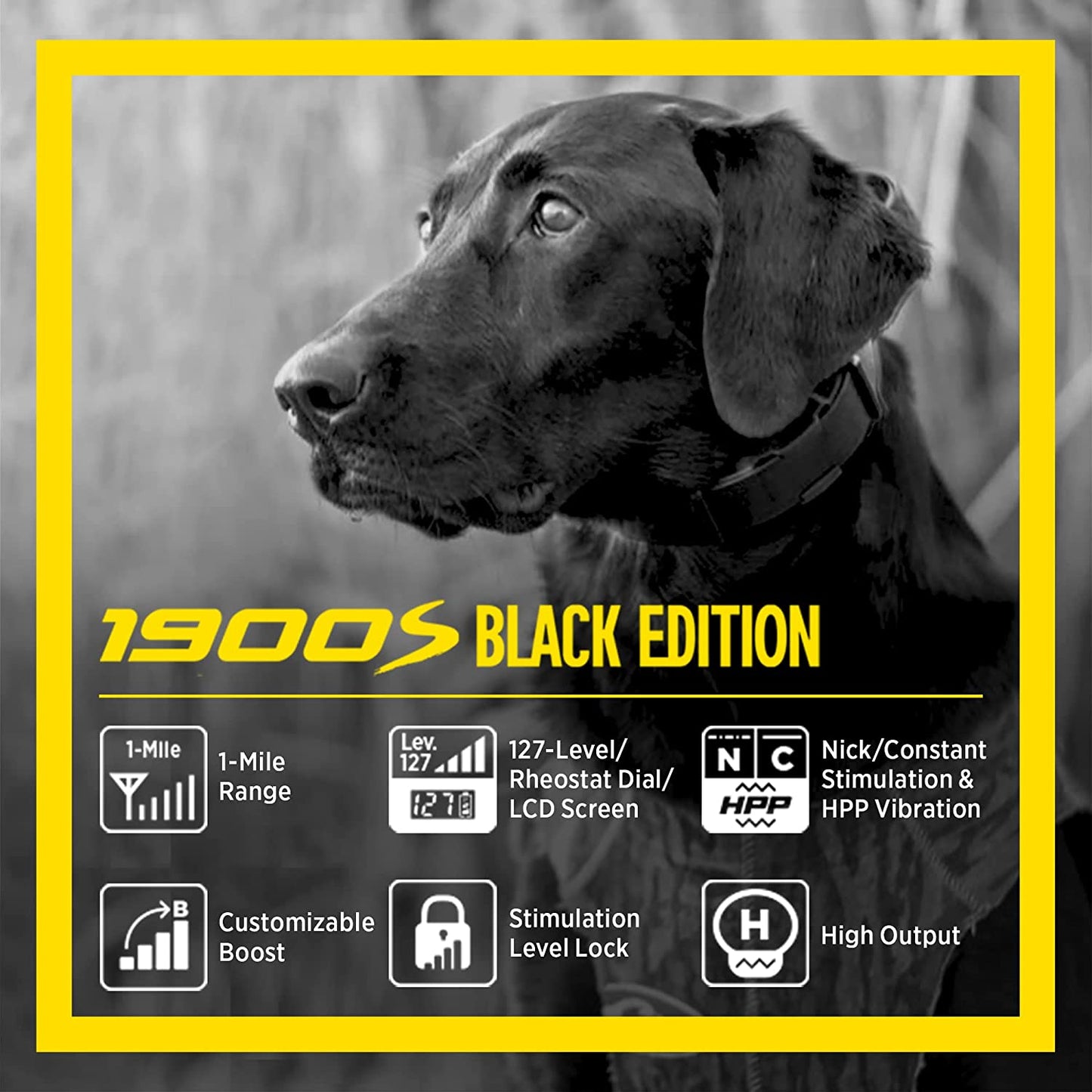 Dogtra 1900S Black Boost & Lock Remote Dog Training E-Collar Trainer 1-Mile Range