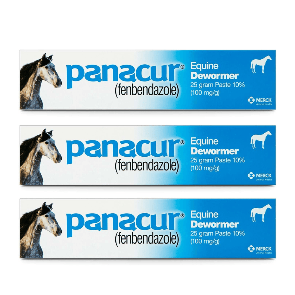 Panacur Equine Dewormer Paste 10 Percent Fenbendazole – Apple Cinnamon 3 Pack