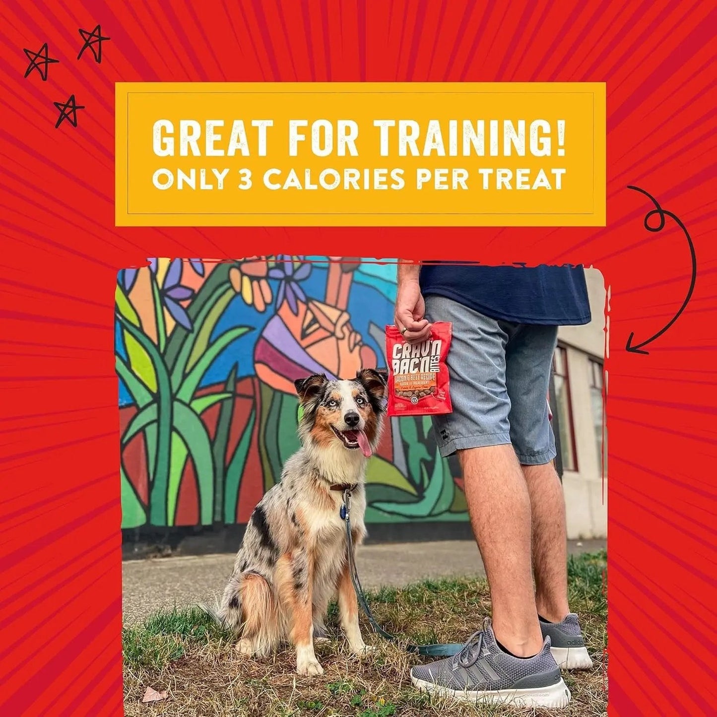 Stella & chewy's - Training Dog Treats - Crav'N Bac'N Soft Bacon & Chicken Bites - Premium USA Made - Low Calorie Rewards - 8.25Oz