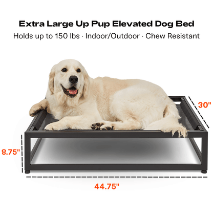 FÜZI - The Up Pup Dog Bed