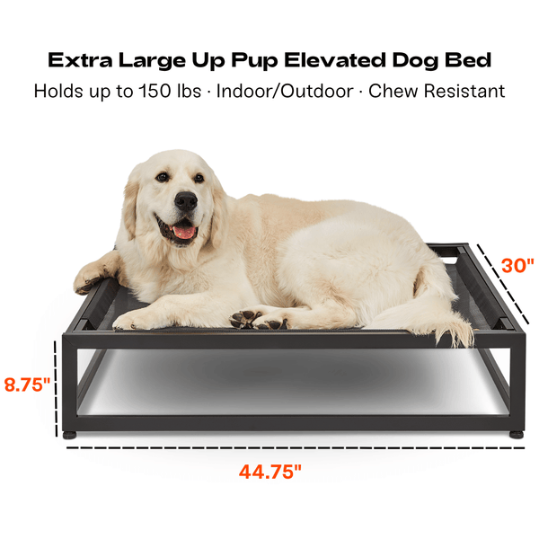 FÜZI - The Up Pup Dog Bed