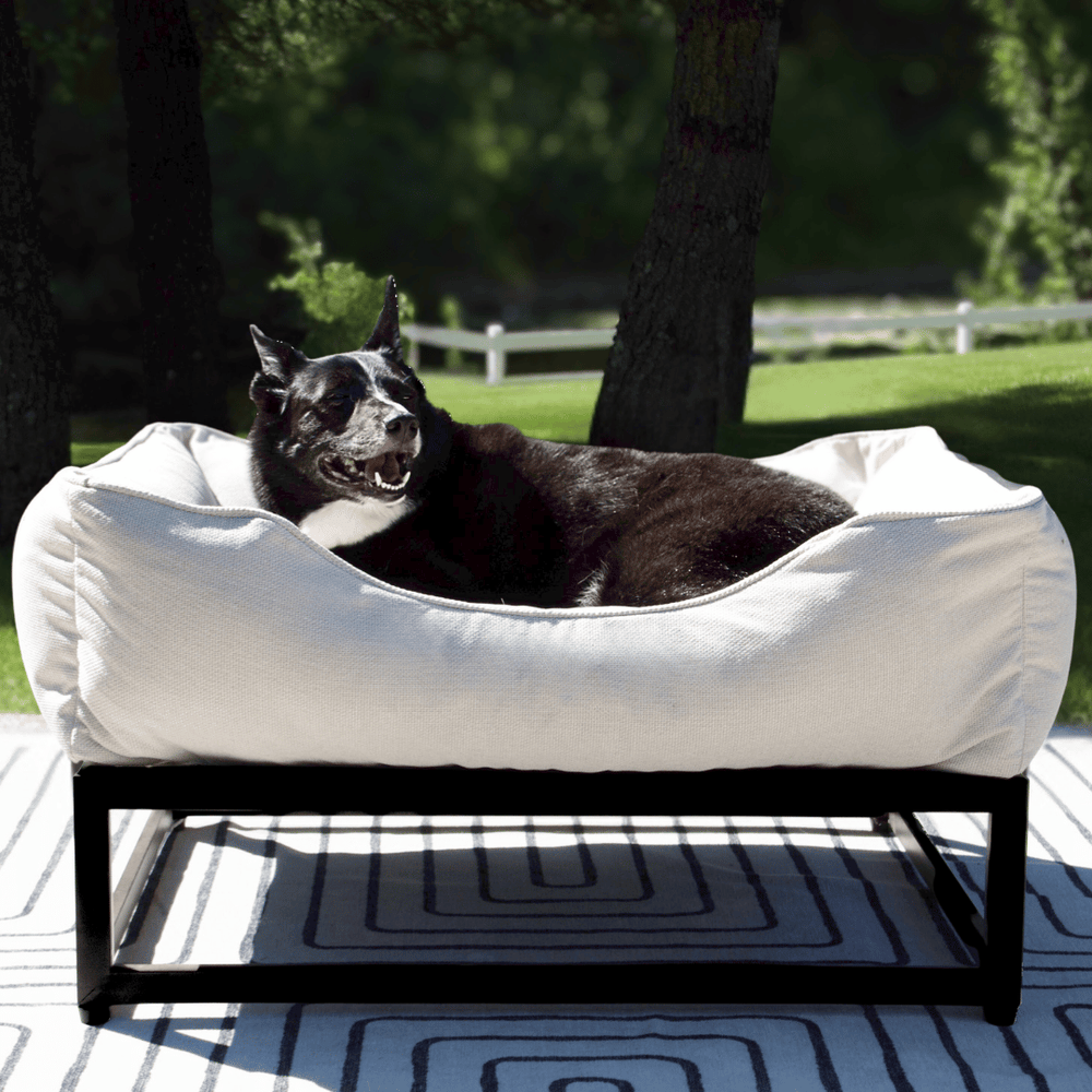 FÜZI - The FÜZI Dog Bed