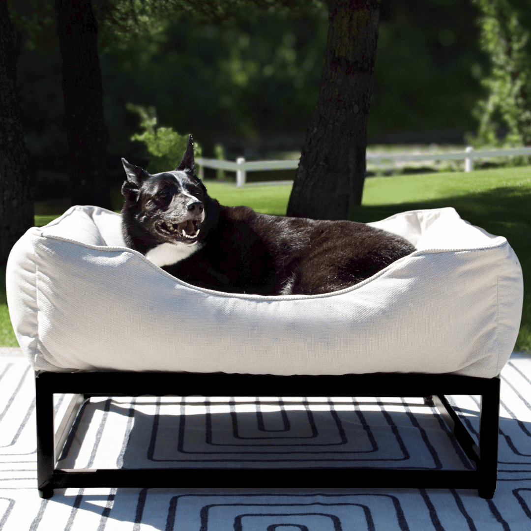 FÜZI - The FÜZI Dog Bed