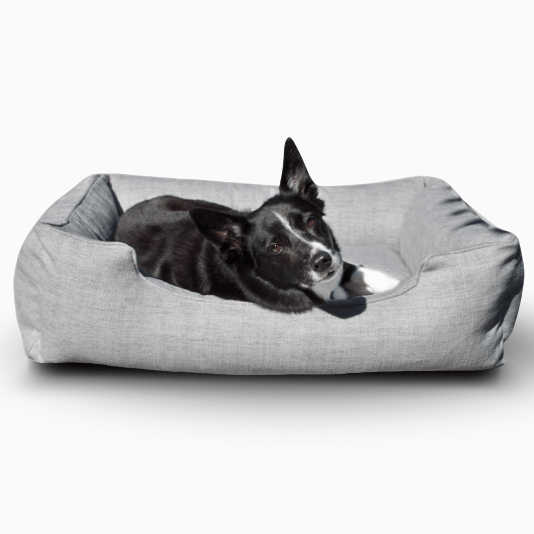 FÜZI - The Sammy Dog Bed