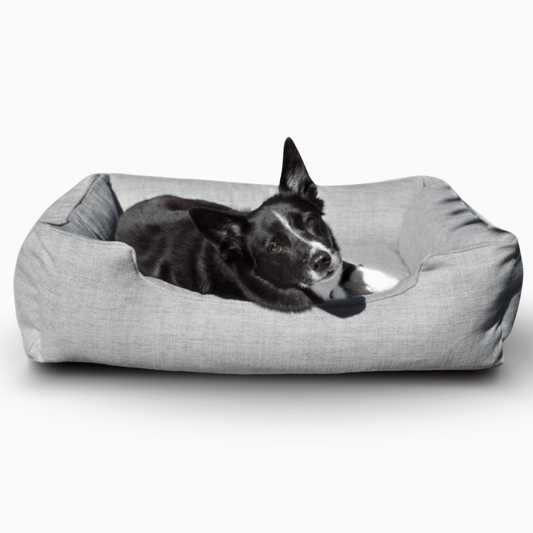 FÜZI - The Sammy Dog Bed