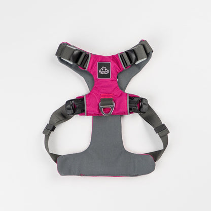 Alpha Pak - Everyday Adventure Dog Harness