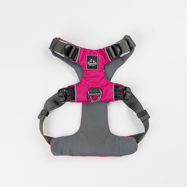 Alpha Pak - Everyday Adventure Dog Harness