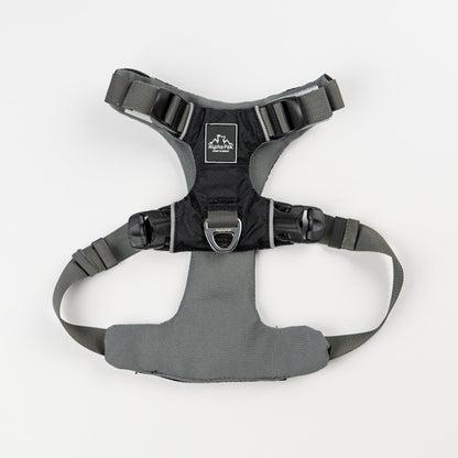 Alpha Pak - Everyday Adventure Dog Harness