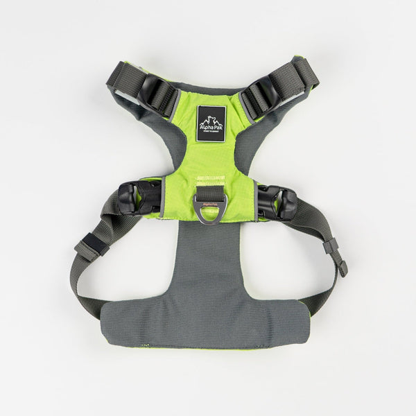 Alpha Pak - Everyday Adventure Dog Harness