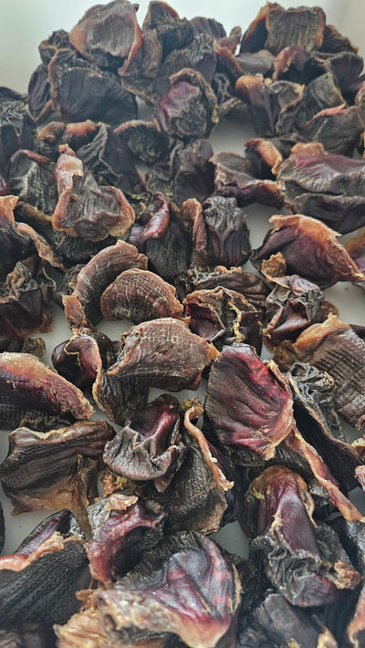 Raw Instincts - Dehydrated Turkey Gizzards for Cats & Dogs — 100% Single Ingredient