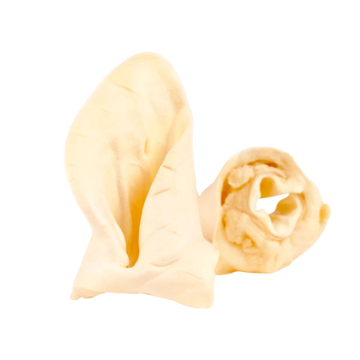 The Pet Gourmet® - Cow Ear