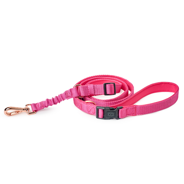 Dogistry - 3-in-1 City Dog Leash - Park Ave Pink