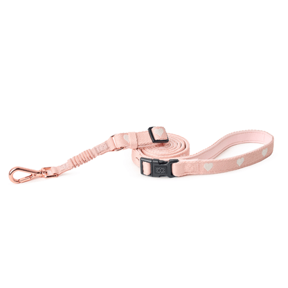 Dogistry - 3-in-1 City Dog Leash - Sweetheart