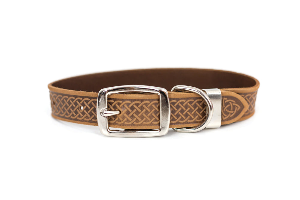 Celtic Double Buckle Style Leather Dog Collar