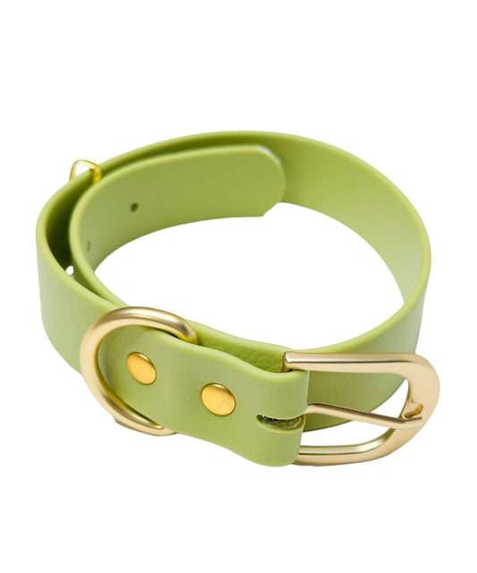 Green Blue/Gold Dog Collar