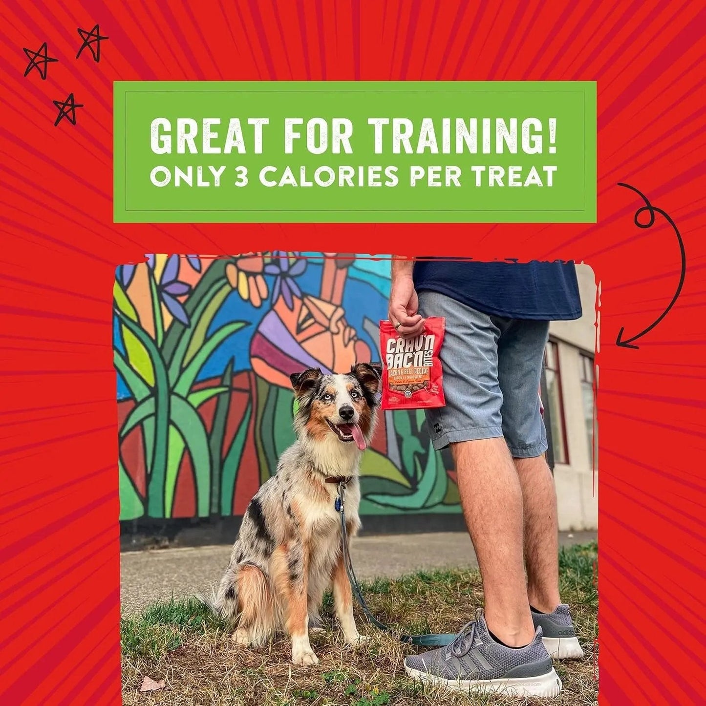 Stella & chewy's - Training Dog Treats - Crav'N Bac'N Soft Bacon & Duck Bites - Premium USA Made - Low Calorie Rewards - 8.25Oz