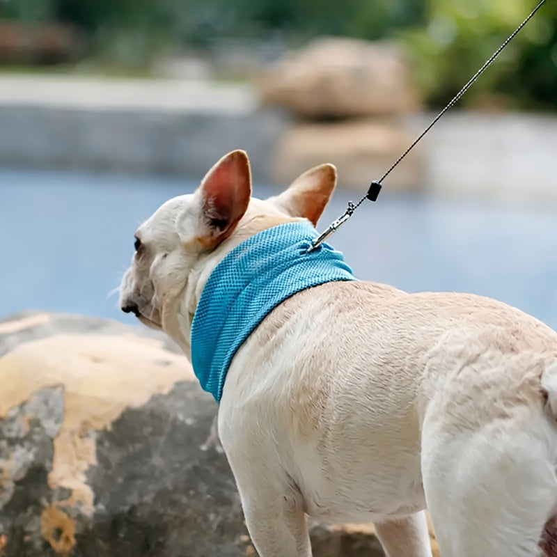 Cooling Dog Neck Vest outdoor