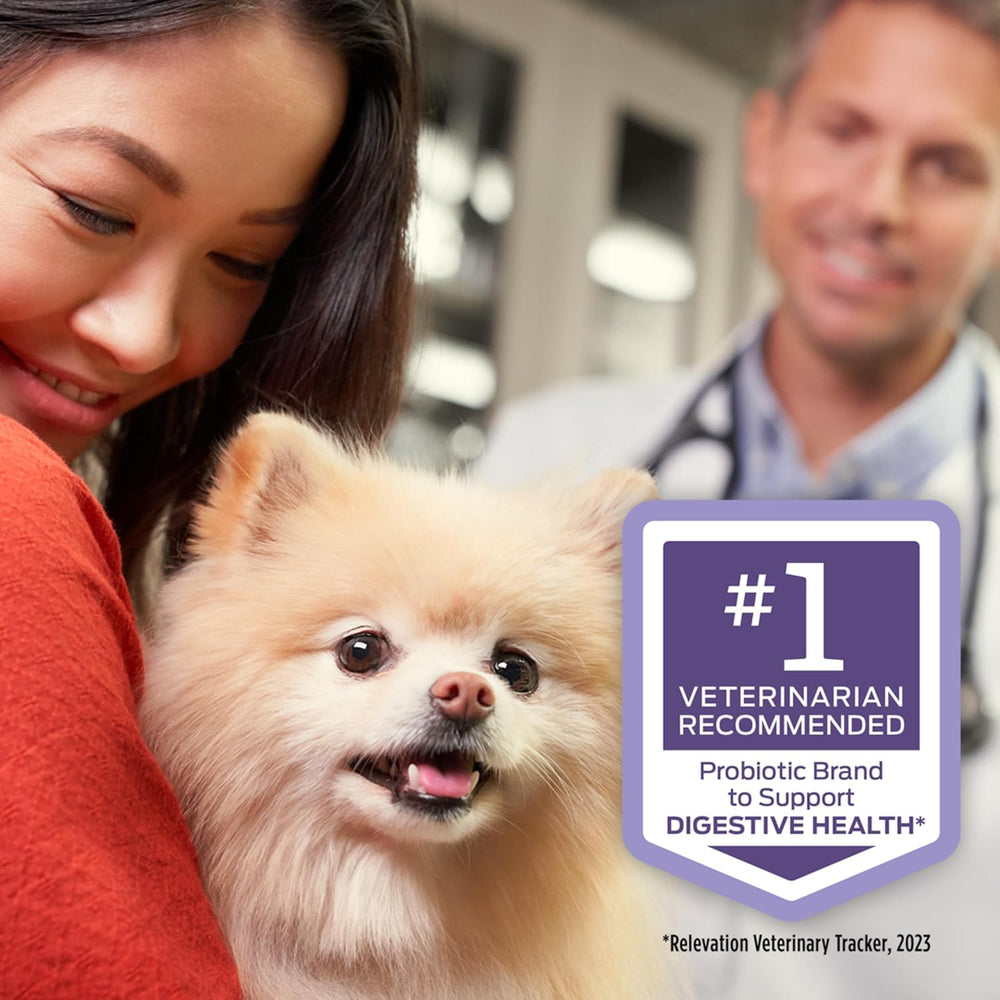 Purina Pro Plan FortiFlora Dog Probiotic – 30 Sachets for Digestive Support