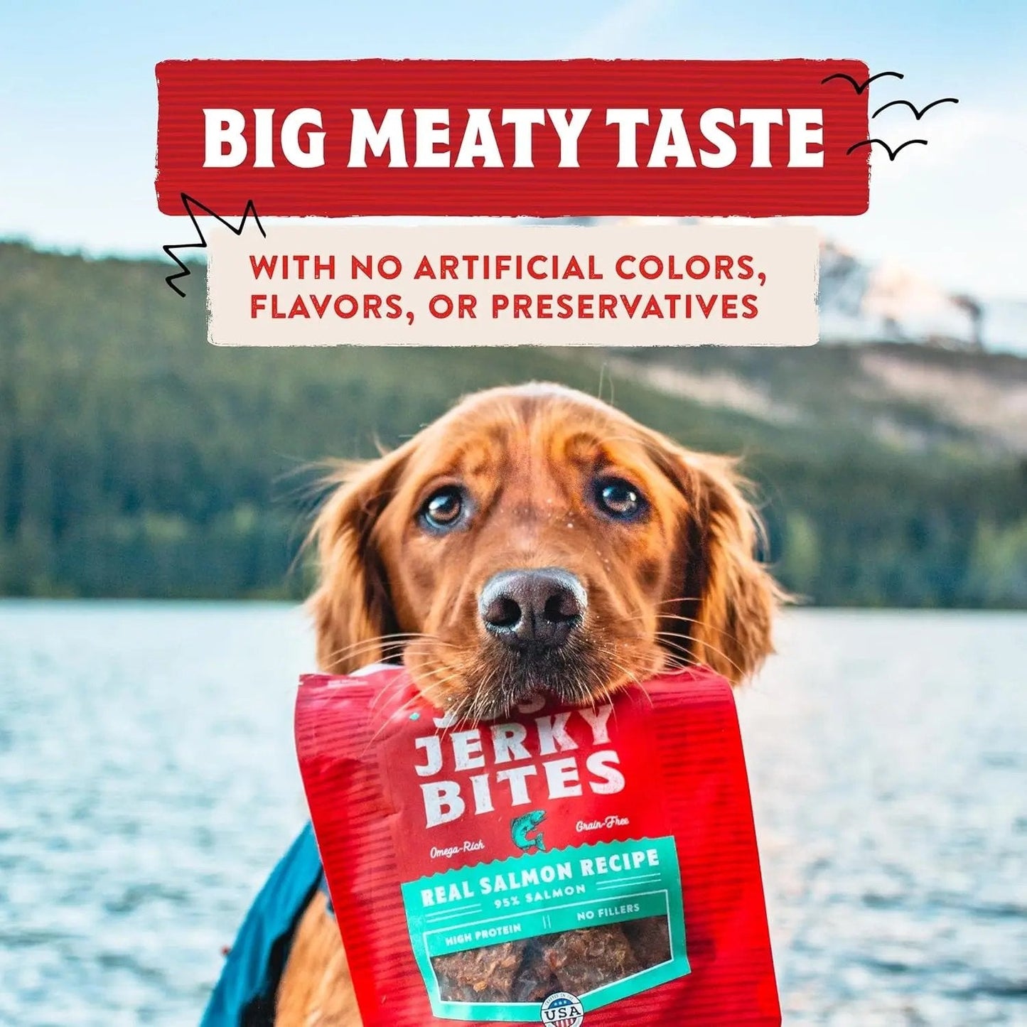 Stella & chewy's - Premium Beef Jerky Dog Treats - 95% Real Meat Bites for Sensitive Stomachs