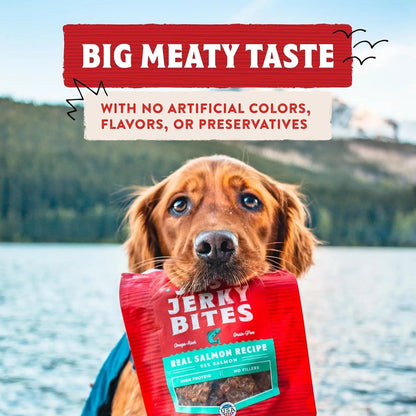 Stella & chewy's - Premium Beef Jerky Dog Treats - 95% Real Meat Bites for Sensitive Stomachs
