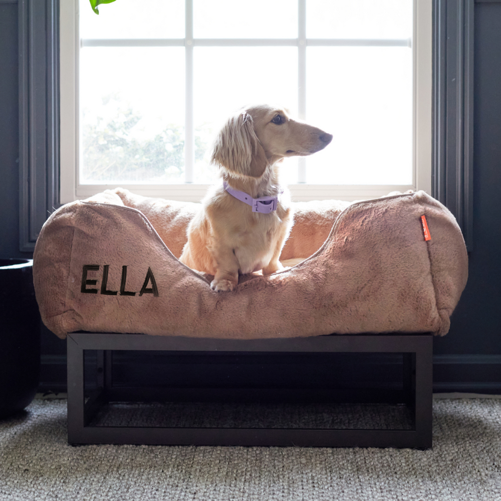 The FÜZI Dog Bed