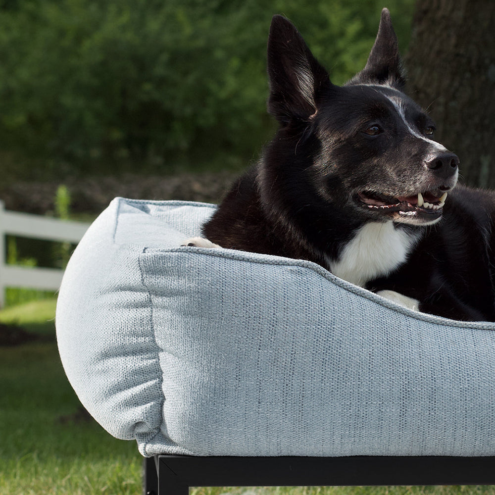 The FÜZI Dog Bed