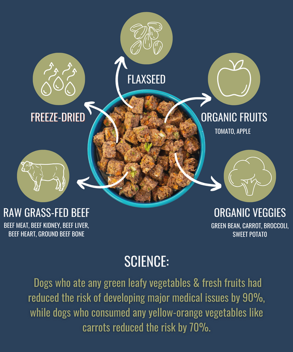 Alpha Pak Premium Raw Freeze Dried Food