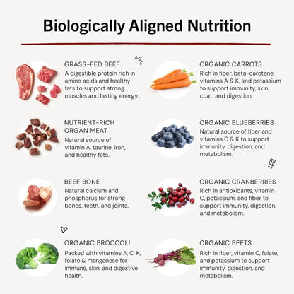 Stella & chewy's - Freeze-Dried Raw Dinner Patties - Beef Recipe - High Protein Grain-Free Puppy & Dog Food - Perfect for Picky Eaters - 14 Oz