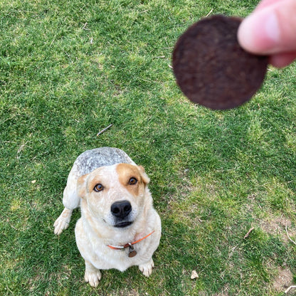 Farm To Pet - Beef Chips Dog Treats | Single-Ingredient Healthy Treats for Dogs