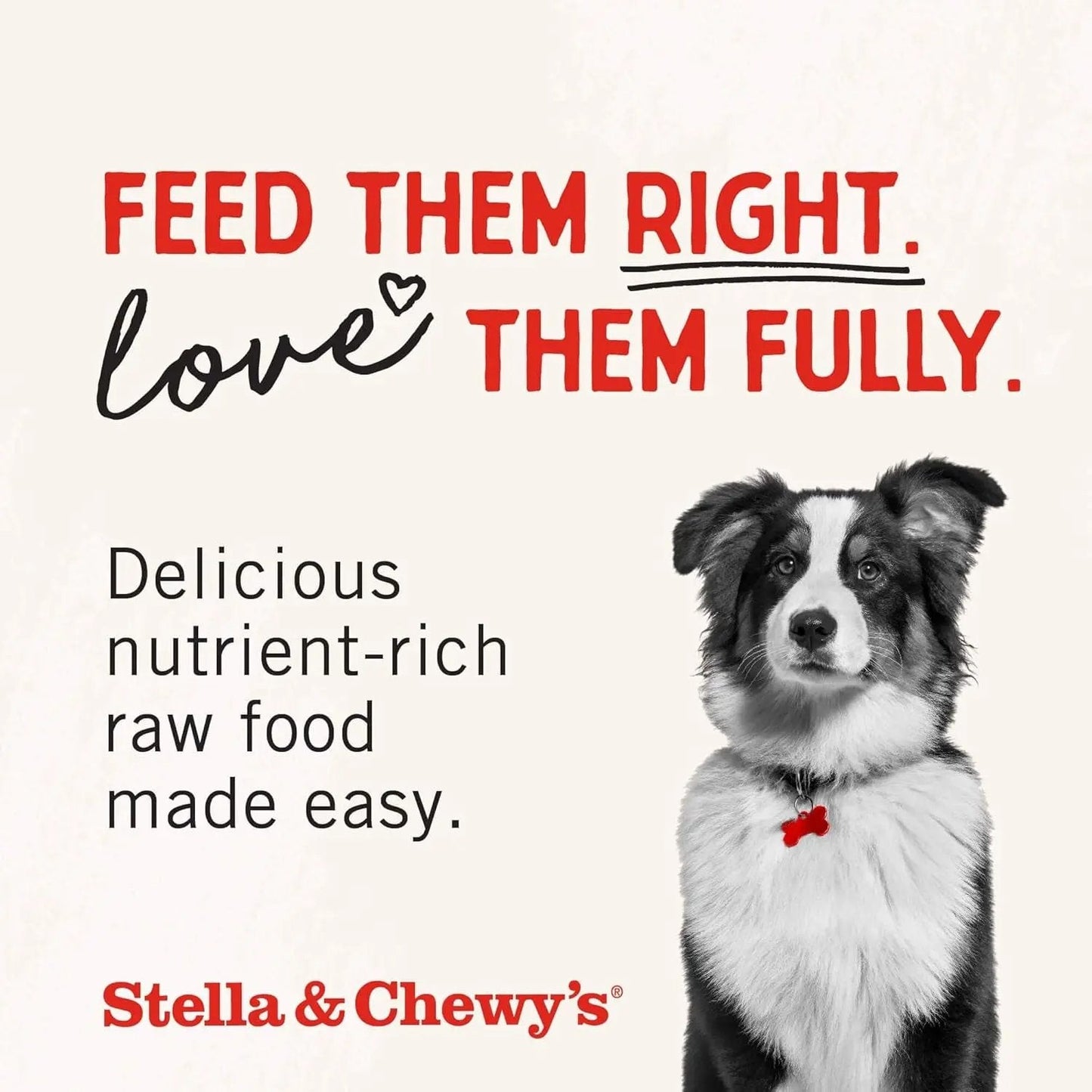 Stella & chewy's - Freeze-Dried Raw Chicken Breast Dog Treats - Single Ingredient, No Additives - Premium Training Treats - Perfect for Picky Eaters - 2.75Oz Bag