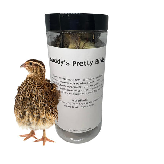 Bird Dog Training Quail - Premium Freeze Dried Whole Quail for Dogs 5ct, Large (Chick) - Natural Prey Feeding Quality Protein Pet Treats