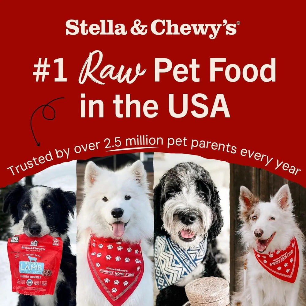 Stella & chewy's - Freeze-Dried Raw Dinner Patties - Beef Recipe - High Protein Grain-Free Puppy & Dog Food - Perfect for Picky Eaters - 14 Oz