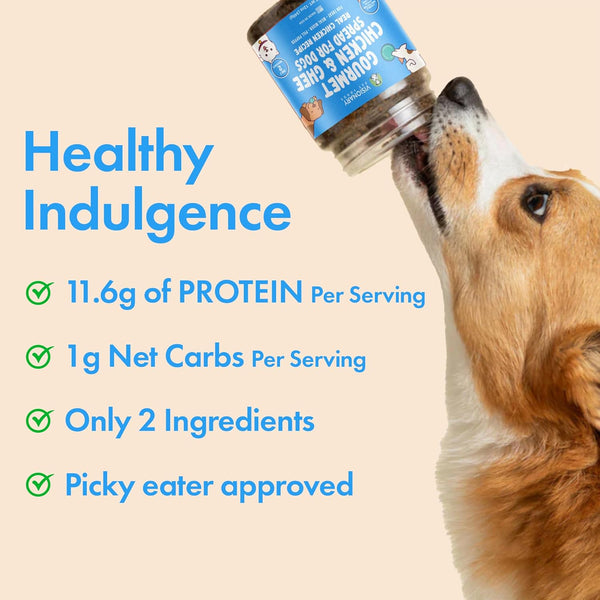 Visionary Pet Foods Chicken and Ghee Dog Meat Spread 12oz Jar