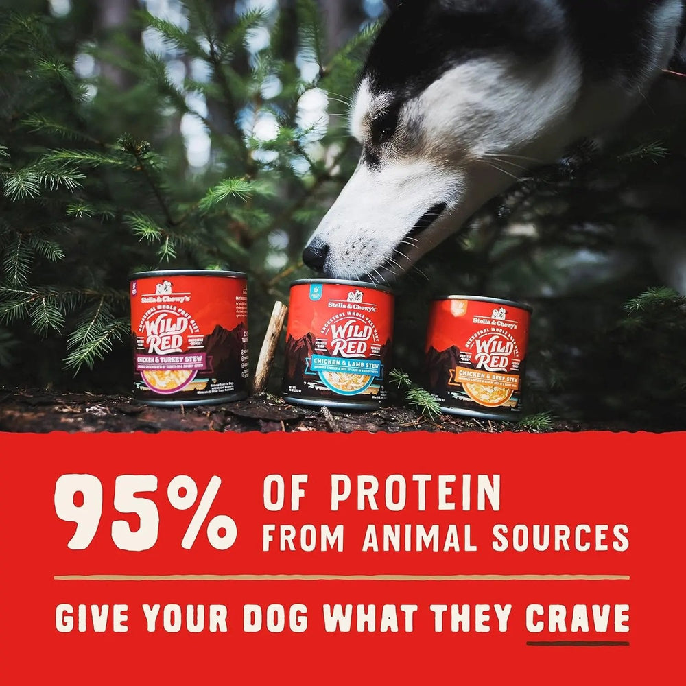 Stella & chewy's - Wild Red Wet Dog Food Chicken & Turkey Stew High Protein Recipe, 10 Ounce (Pack of 6)