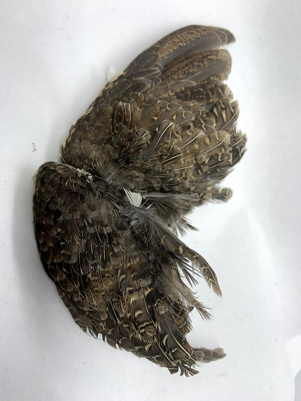 Premium Quail Wings for Dog Training Dog Treats