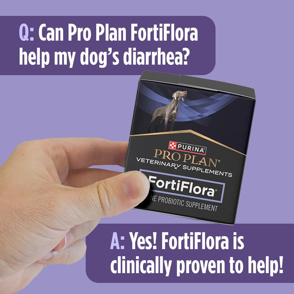Purina Pro Plan FortiFlora Dog Probiotic – 30 Sachets for Digestive Support